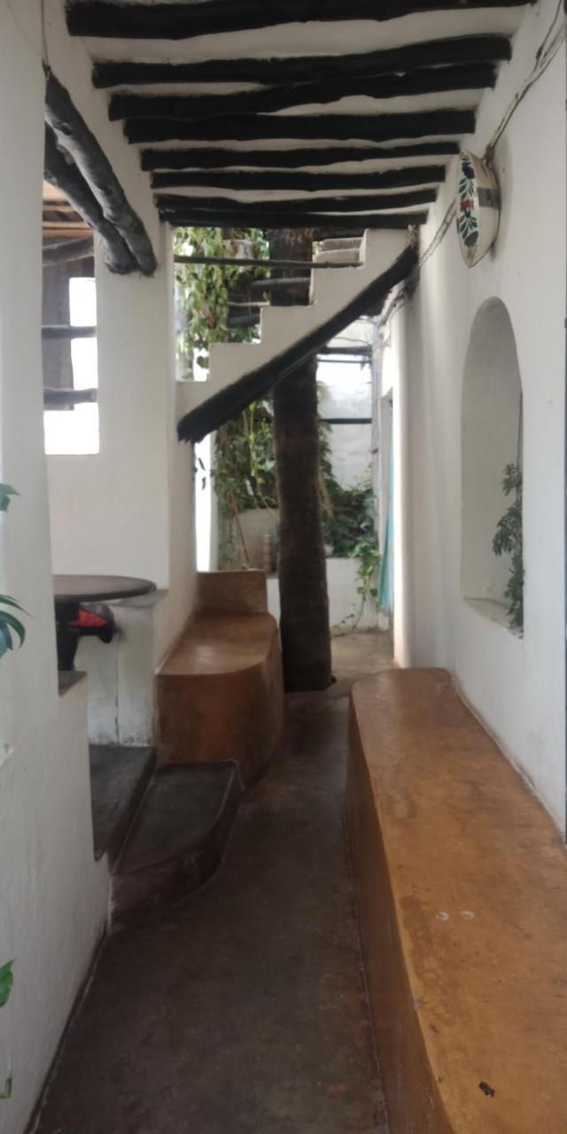 Wildebeeste Lamu Exteriér fotografie